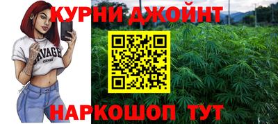 индика Анжеро-Судженск