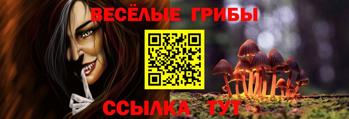 Галлюциногенные грибы MAGIC MUSHROOMS  Вход с VPN  Среднеуральск 